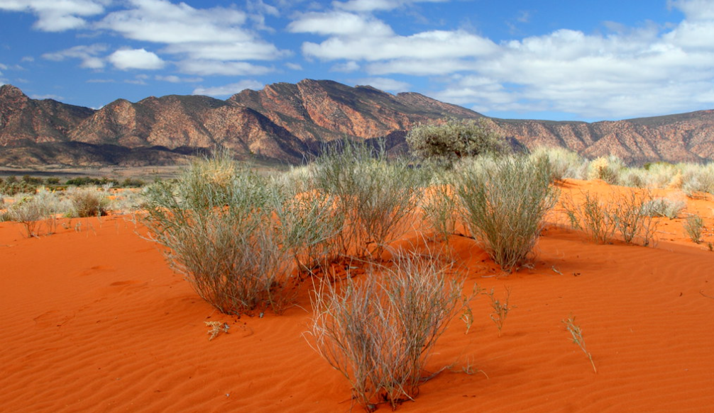 Landscape Medium Necklace